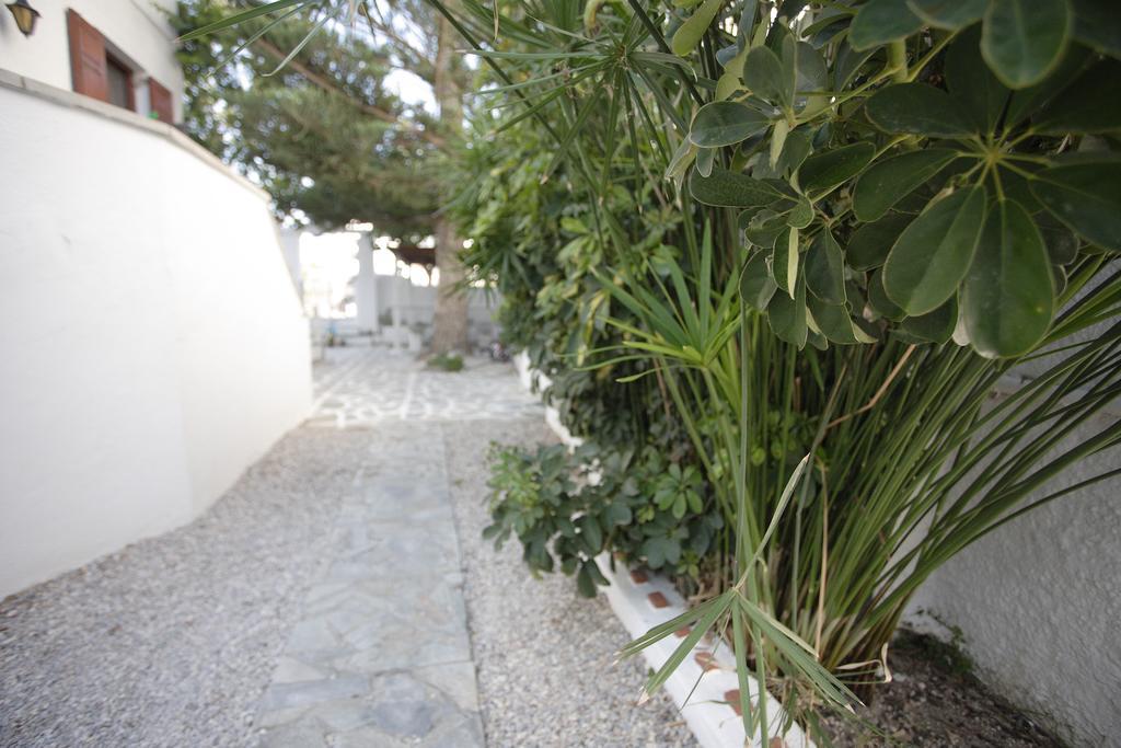 Villa Venus Adamantas  Esterno foto
